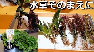 買ってきた水草紹介と植える下準備 【水草その前に・・】 [upl. by Clymer472]