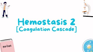 HEMOSTASIS 2 Coagulation cascade [upl. by Clara182]