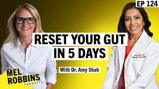 Reset Your Gut in 5 Days A Medical Doctor’s StepbyStep Protocol to Transform Your Health [upl. by Enilesoj544]