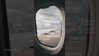 Aviation Explained Airplane Wing ✈️ [upl. by Coplin]