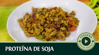 PROTEÍNA DE SOJA APRENDA COMO PREPARAR  TVegano 78 [upl. by Eldrid]