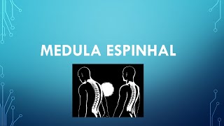 MEDULA ESPINHAL [upl. by Royd]