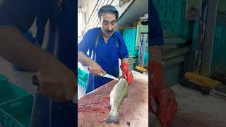 How to fillet a trout for frying fishcutting [upl. by Oderfla423]