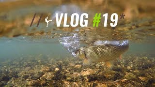 Maelstrom Fishing Vlog 19 DUO Gambrel vs Chub [upl. by Annoval]