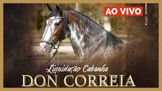 LIQUIDAÇÃO CABANHA DON CORREIA AO VIVO PROGRAMA CAVALOS [upl. by Javler]