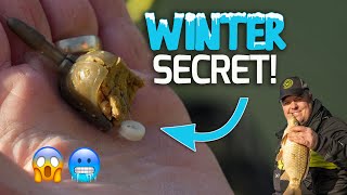 The SECRET winter hookbait  Jamie Hughes Feeder Tip [upl. by Applegate709]