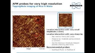 AFM  Probe Fundamentals Selection and Applications  Bruker [upl. by Merissa865]