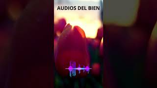 🍀🌷💚AUDIOS DEL BIEN💚🌷🍀 [upl. by Egnalos529]