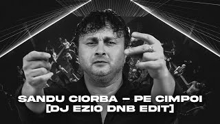 Sandu Ciorba  Pe Cimpoi DJ EZIO DNB EDIT [upl. by Vlad803]