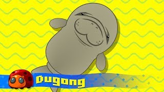 Dugong  Silly Song  JellyBug [upl. by Einafets]