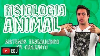 Biologia  Fisiologia Animal  Os Sistemas Trabalhando em Conjunto para o Enem e Vestibulares [upl. by Nylsoj]