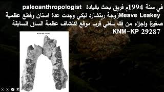 32 تطور الانسان النصف الأول من الجزء السادس عشر ومرحلة Australopithecus anamensis [upl. by Baptlsta]