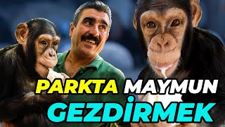 20 YILDIR MAYMUN BESLEYEN ADAM VE 35 YAŞINDAKİ MAYMUNUN HİKAYESİ [upl. by Youngran248]