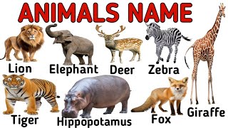 ANIMALS  Animals Name with Facts and Pictures  Animals Name For kids [upl. by Jaan]