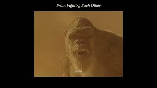 From fighting each other to fight for each other  Godzilla X Kong  Tibro Edits shorts godzilla [upl. by Gunnar76]