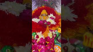 Laddu Gopal ki aarti  Adharam Madhuram laddugopal laddugopalstatus Thakur ji shringar darshan [upl. by Hanid]