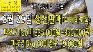 8월 29일 파조기 맛있게 드시고 항상 건강하세요 탁선장 목포 남도농수산 010 3167 7150 010 9871 0441 [upl. by Gardner]