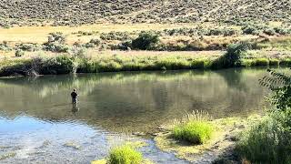 Difficult Fly Fishing on the Owyhee River in Oregon [upl. by Killen476]