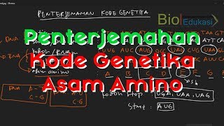 Kode Genetika Asam Amino [upl. by Yokum]