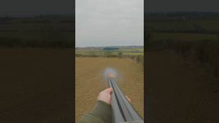 How To Shoot A Bolting Rabbit  12 Gauge Side by Side [upl. by Ahron822]