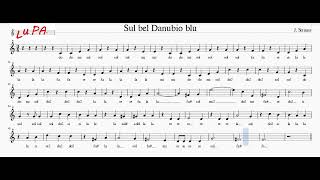 Sul bel Danubio blu  Flauto dolce  Note  Spartito  Instrumental  Karaoke  Musica [upl. by Haag]