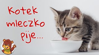 Kotek mleczko pije  Miś Tami TV  Piosenki dla dzieci [upl. by Garik]