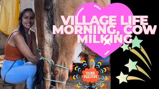 milking cows on a dairy farm  cow milking video [upl. by Arriaes]