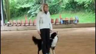 Selezione mondiali obedience 2014 Valentina Balli [upl. by Andras]