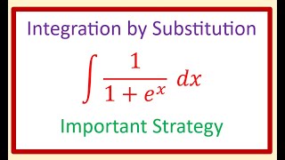 Integration Level 2 Reciprocal of 11  ex U Substitution [upl. by Lainahtan773]