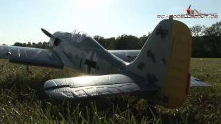 Test HYPE Focke Wulf FW190 auf RCMODELLSCOUTDE [upl. by Eisdnil569]