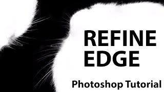 Photoshop CS5  Refine Edge [upl. by Eniamrehc352]