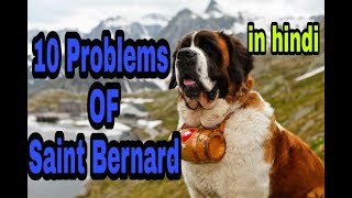 10 Problems OF Saint Bernard in hindi [upl. by Ecirtnahc]