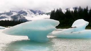 An Excursion up the Stikine river [upl. by Ian411]