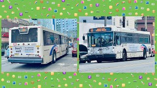 NJ Transit 10 JERSEY CITY JOURNAL SQUARE VIA PAMRAPO AVENUE NABI 41615 6033 [upl. by Selia]