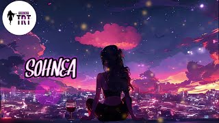 Sohnea song ♥️full female part🎙️Amazing punjabi song🤩🤩 feel the song  youtube song lofi [upl. by Aguie]