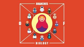 What are the Branches of Biology [upl. by Grinnell]