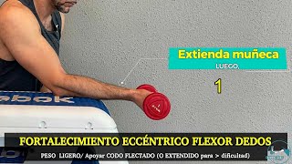 Codo ejercicio epitrocleitis 06 Fortalecimiento concéntrico y eccéntrico flexopronadores resumen [upl. by Aihpled]