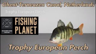 Fishing Planet Trophy European Perch GhentTerneuzen Canal Netherlands [upl. by Aihgn782]