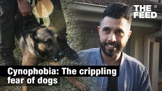 Cynophobia The crippling fear of dogs [upl. by Martelle]