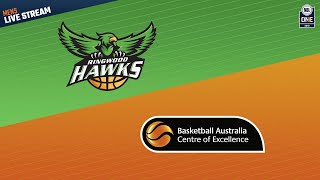 NBL1 Men Round 1  Ringwood Hawks vs BA Centre of Excellence [upl. by Ajiat]