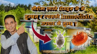 मौरीमा लाग्ने रोगहरु र त्यसको Immidiate उपचार  Varroa Mite Acraepis Woodi  Episode 1 [upl. by Nnaira]