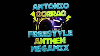 Freestyle Anthem Megamix Old School [upl. by Henning]