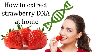 How to see DNA at home  simple steps [upl. by Vadnee]