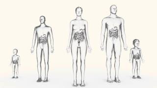 UIcerative Colitis 101 [upl. by Derraj]