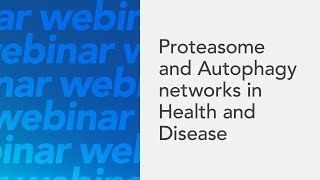 Proteasome and Autophagy networks in Health and Disease by Prof Ivan Dikic [upl. by Gypsie]