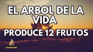 EL ÁRBOL DE LA VIDA I PRODUCE 12 FRUTOS [upl. by Melodee411]