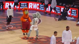 Basketball Mascot dancing Salsa [upl. by Kentiggerma]