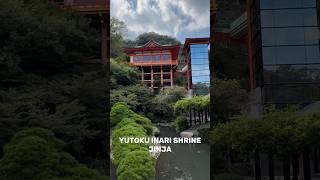 YUTOKU INARI SHRINEjinja beautiful shrine shortsviral [upl. by Jarrell]