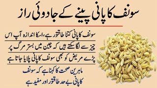 Fennel Water Benefits  Saunf Ke Faiday  Aaj Ki Tips  Useful Totkay  Urdu Totkay [upl. by Anigroeg]