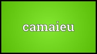 Camaieu Meaning [upl. by Philpot]